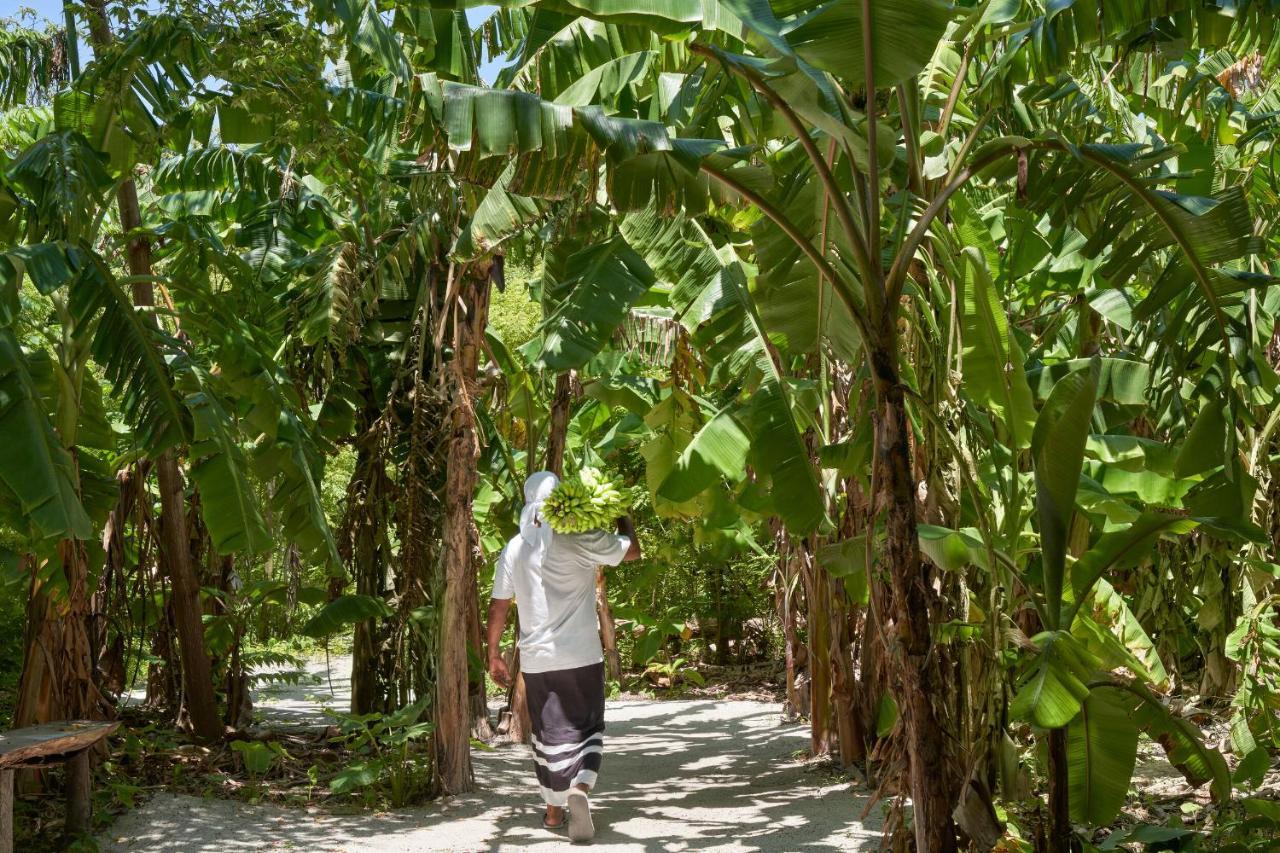 ซัน ไอแลนด์ รีสอร์ท แอนด์ สปา Maamigili Island ภายนอก รูปภาพ